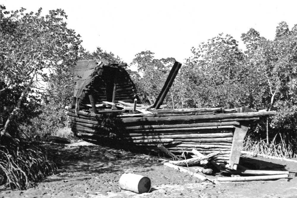 Alfred J. Mooney’s log boat near Cairns. Photograph by John. C. Hays, courtesy MSHS.