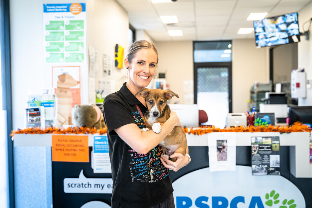 Shelter manager Natalie Anger with a puppy from the Cairns RSPCA shelter. Picture: Supplied