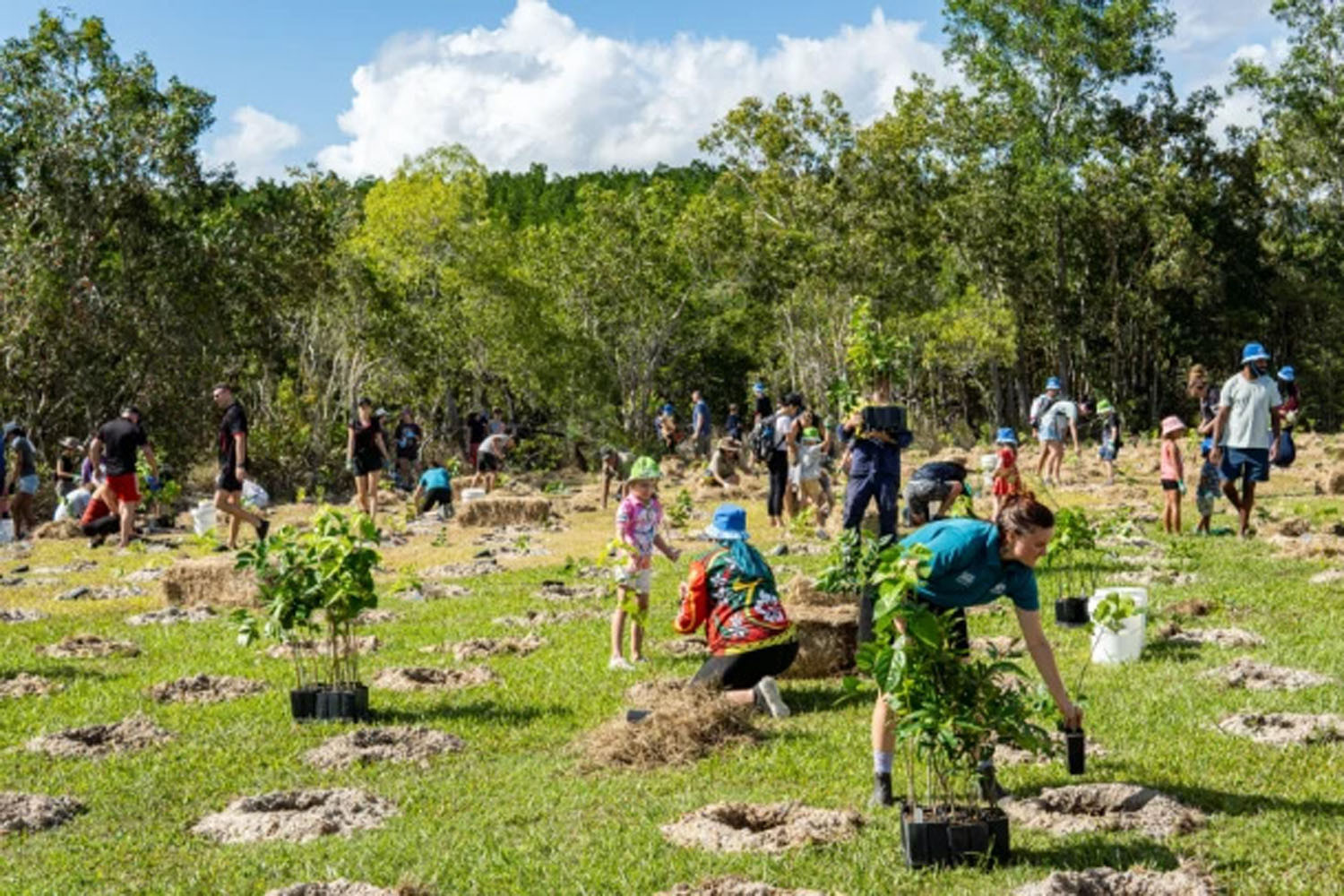 Community tree planting at Moore’s Gully will continue with a council grant. Picture: Facebook