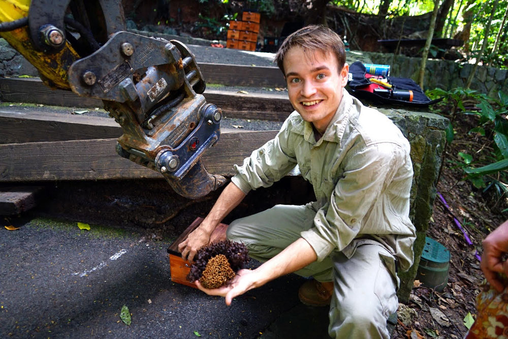 Beekeeper Zac Petersen of Cairns Native Bee is removing 22 native bee nests at the Red Arrow. Picture: Cairns Regional Council.
