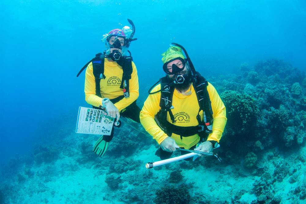 Divers taking part in a reserach project on the Great Barrier Reef. Picture: Passions of Paradise