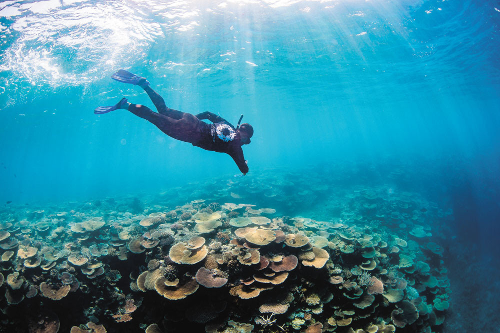 Lizard Island Partners With Citizens Of The Great Barrier Reef 