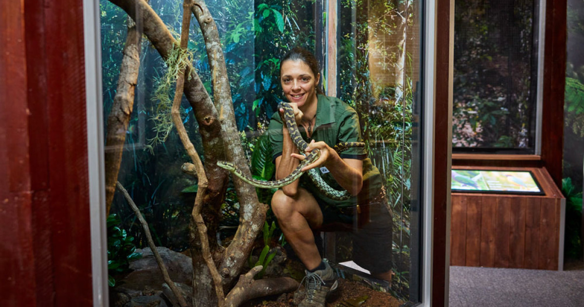 Up close at new city zoo | Cairns Local News - Free to read No ...