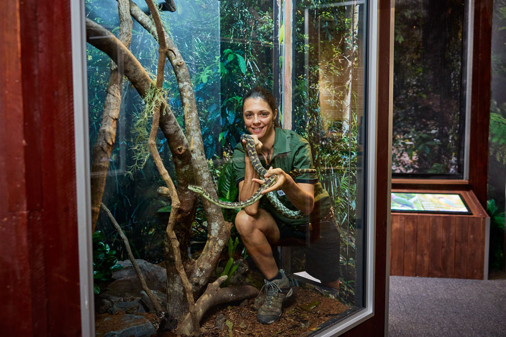 Cairns Koalas and Creatures wildlife keeper Emilie Servage with a carpet python. Picture: The CaPTA Group