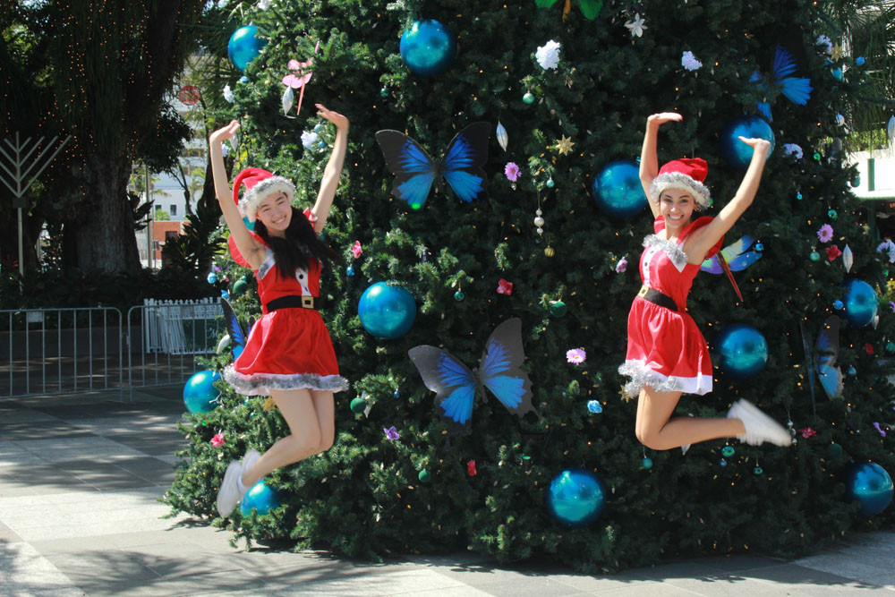 Christmas cheer takes over Cairns with the Christmas Tree light up - feature photo