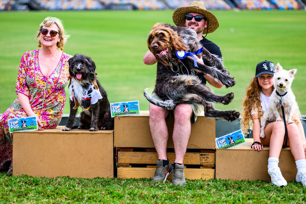 Winners of the scruffiest pooch category at Cazalys Top Dog 2025, with Herman (centre) taking out first place for his gloriously unkempt coat and larger-than-life charm.