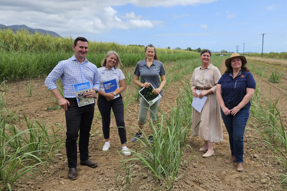 LNP ticks green boxes - feature photo