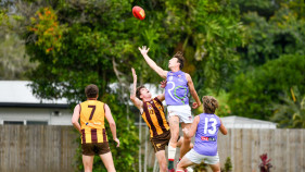 Dogs host Tigers for key slot