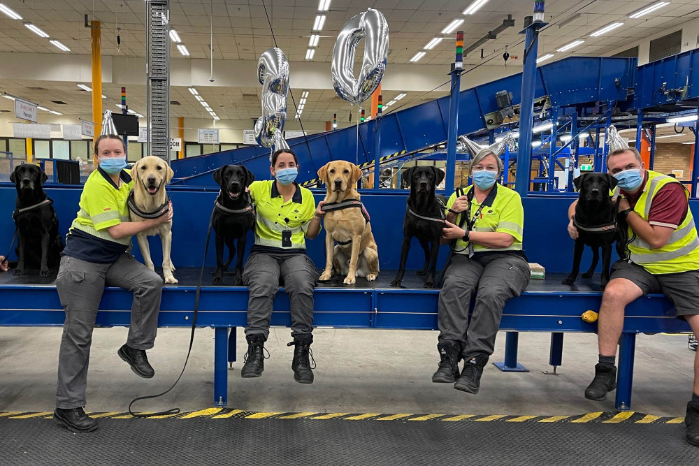PAWSOME JOB opportunities for biosecurity detector dog handlers - feature photo