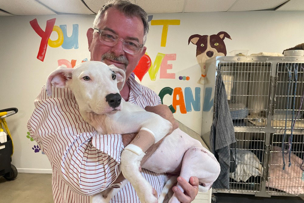 Douglas Shire Mayor Michael Kerr with Dotti, who he rescued at Wujal Wujal. Picture: Douglas Shire Council