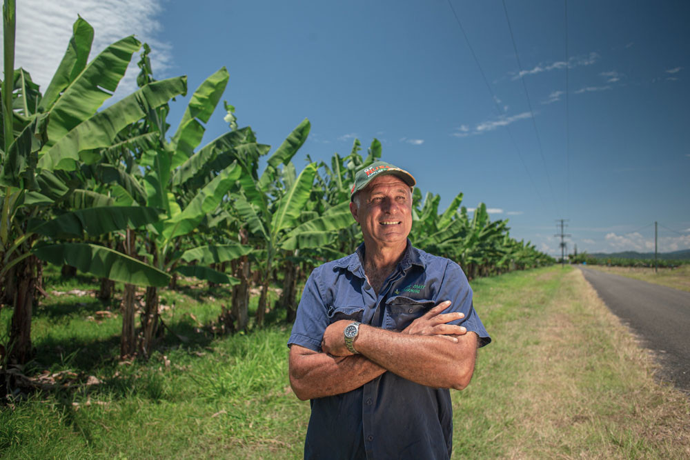 Banana farmer back on track - feature photo