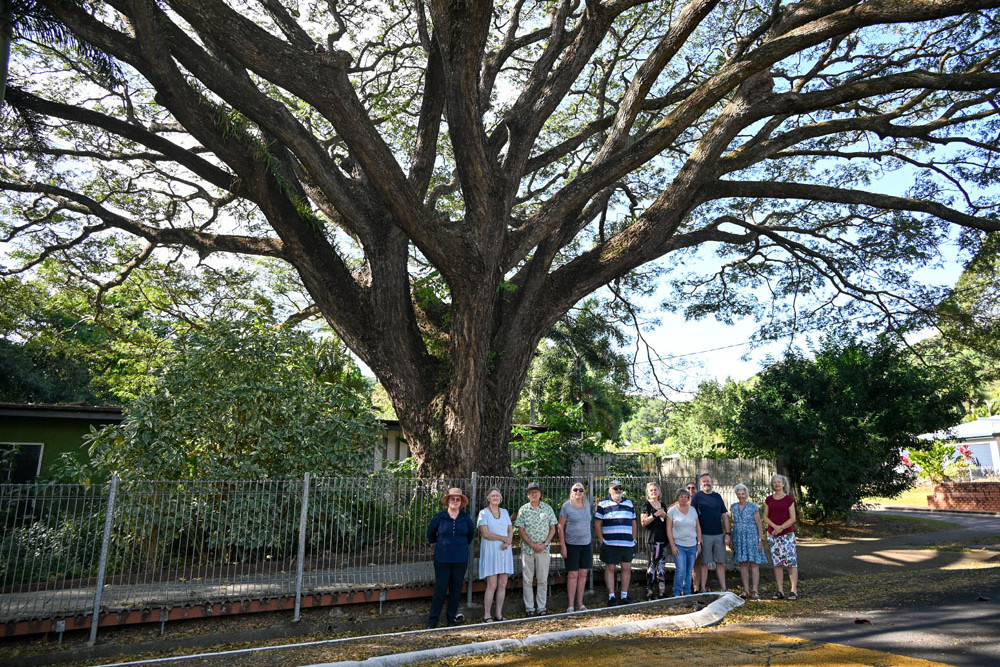 Helen Simpson (far right) and Paul Matthews (third from left) stand with fellow community members rallying to save the large rain tree at 51 Old Smithfield Road, Freshwater, from being axed. Picture: Lizzie Vigar