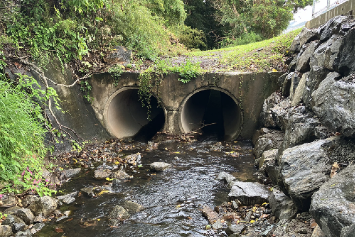 Dangerous to play in any drain - feature photo