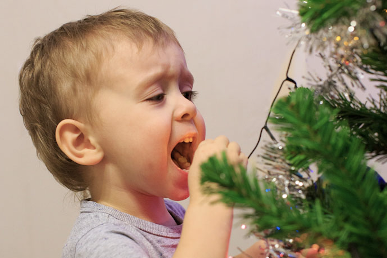 Ergon Energy says don’t let children play with Christmas tree lights. Picture: iStock/EvgeniiAnd