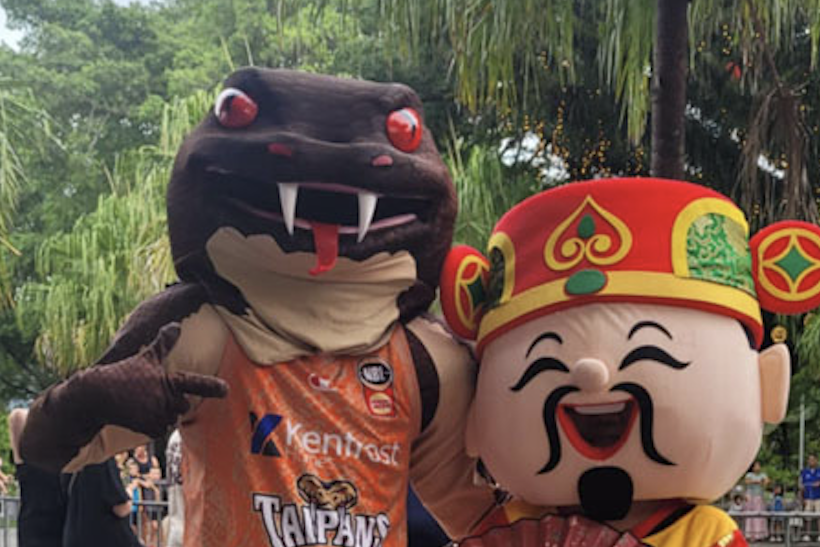 Cairns Taipans mascot Joe Blake with the god of prosperity at the Chinese New Year celebrations on January 29. Picture: CADCAI