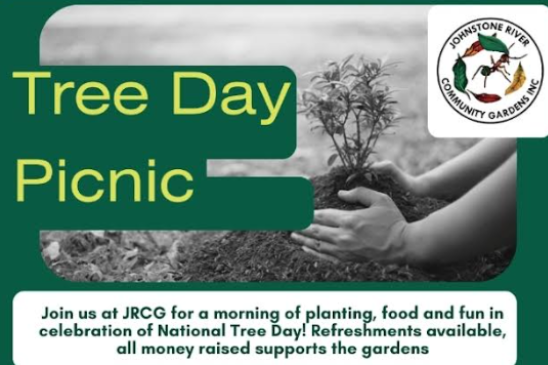 National Tree Day activities - feature photo