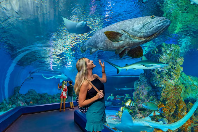 Aquarium voted the best - feature photo