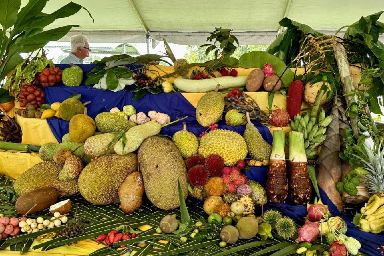 BOOKINGS are open for the 2025 Feast of the Senses – the 22nd anniversary of the region’s premier tropical fruit event.