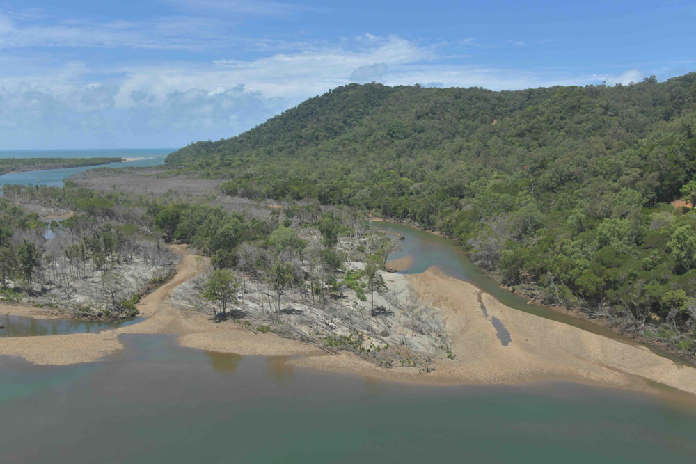 The Bloomfield River has changed significantly.