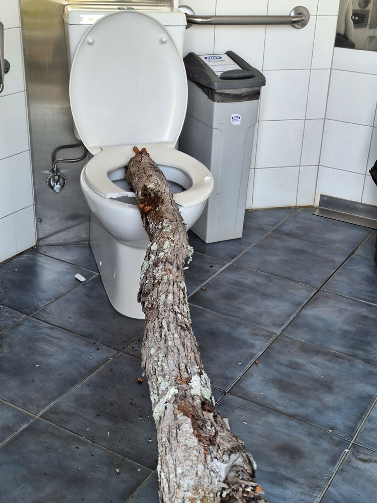 An example of damage to park toilet facilities. Pictures: Gary ‘Gazza’ McIlroy