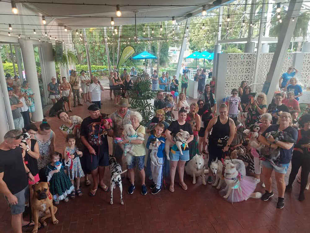 Many of the dogs and their owners at the Palm Cove Dog Show.