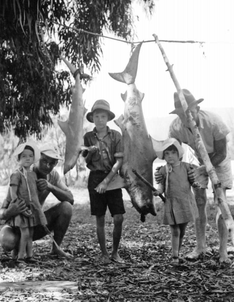 Sharks caught off Chinaman’s Bay. Pictured (from left): Alex Anderson, Patricia McGuigan, Ian McGuigan, Roy Anderson, and Margaret McGuigan.