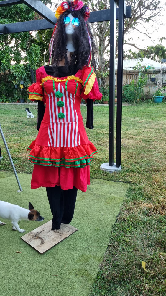 The Port Douglas Neighbourhood Centre’s first scarecrow endeavour. Pictures: Supplied