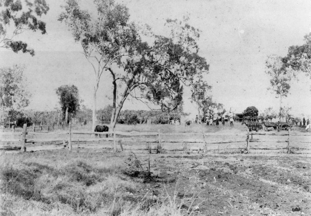 Butcher Hill Station, Cooktown district c. 1899, Courtesy SLQ.