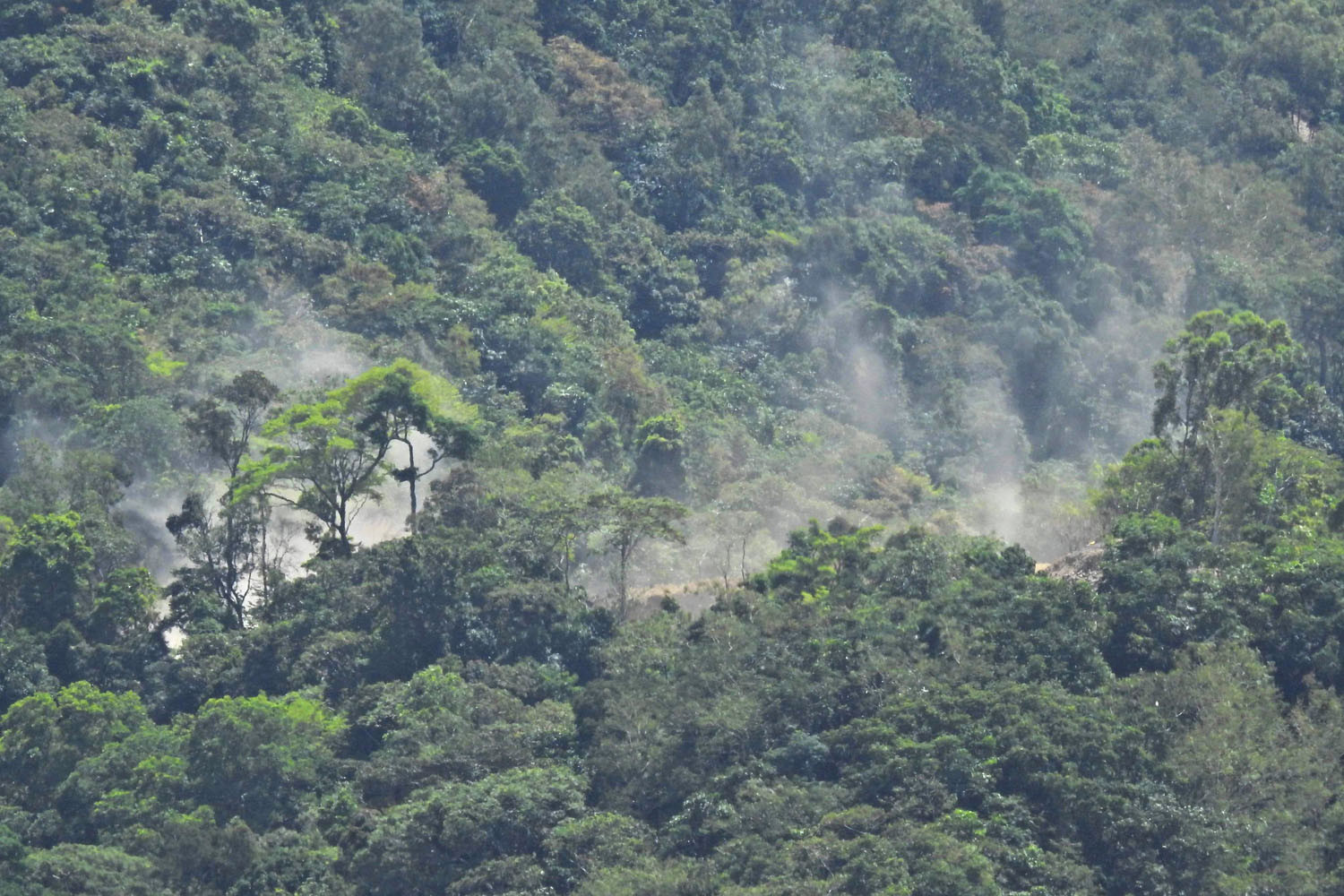 Dust rises from Boral quarry operations in the Redlynch valley. Residents are fed up with the noise, dust, visual and environmental impacts. Picture: Supplied
