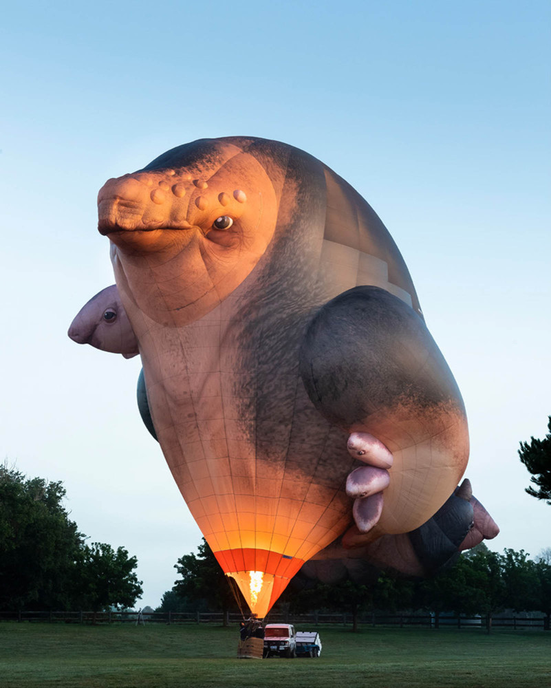pg-20—skywhales-1.jpg