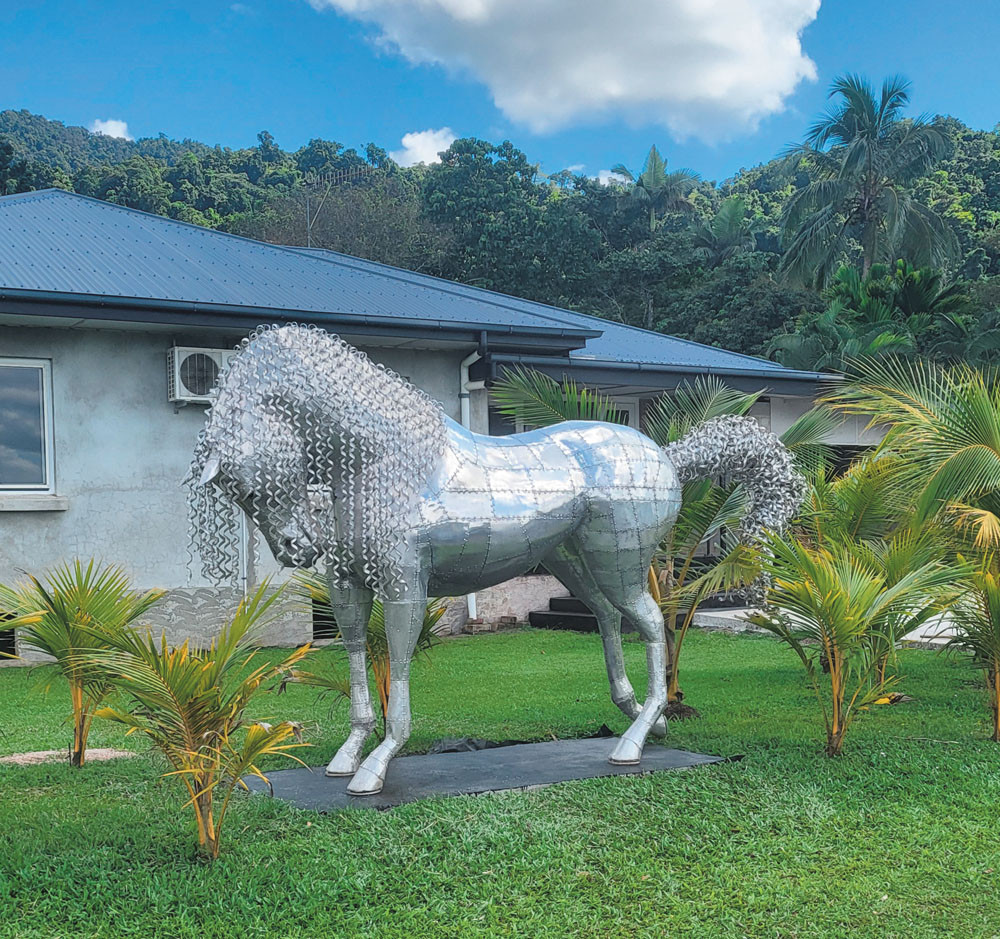 “Priscilla” on the front lawn at Babinda.