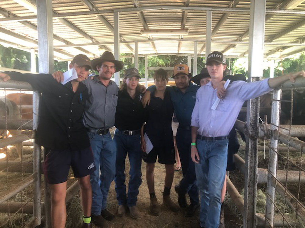 Mossman youngsters assist with last year’s show cattle judging.