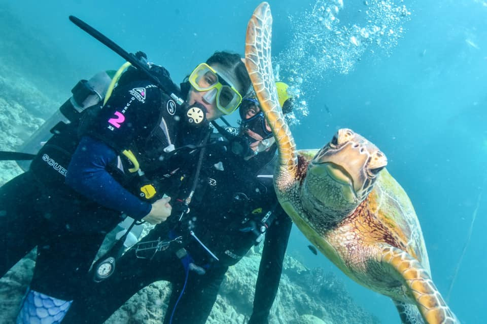 Up to 70% of reef tour customers were international tourists prior to COVID-19.