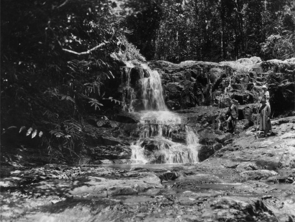 One of the many tourist attractions, Crystal Cascades, ca. 1927. Photograph by Henry William Mobsby
