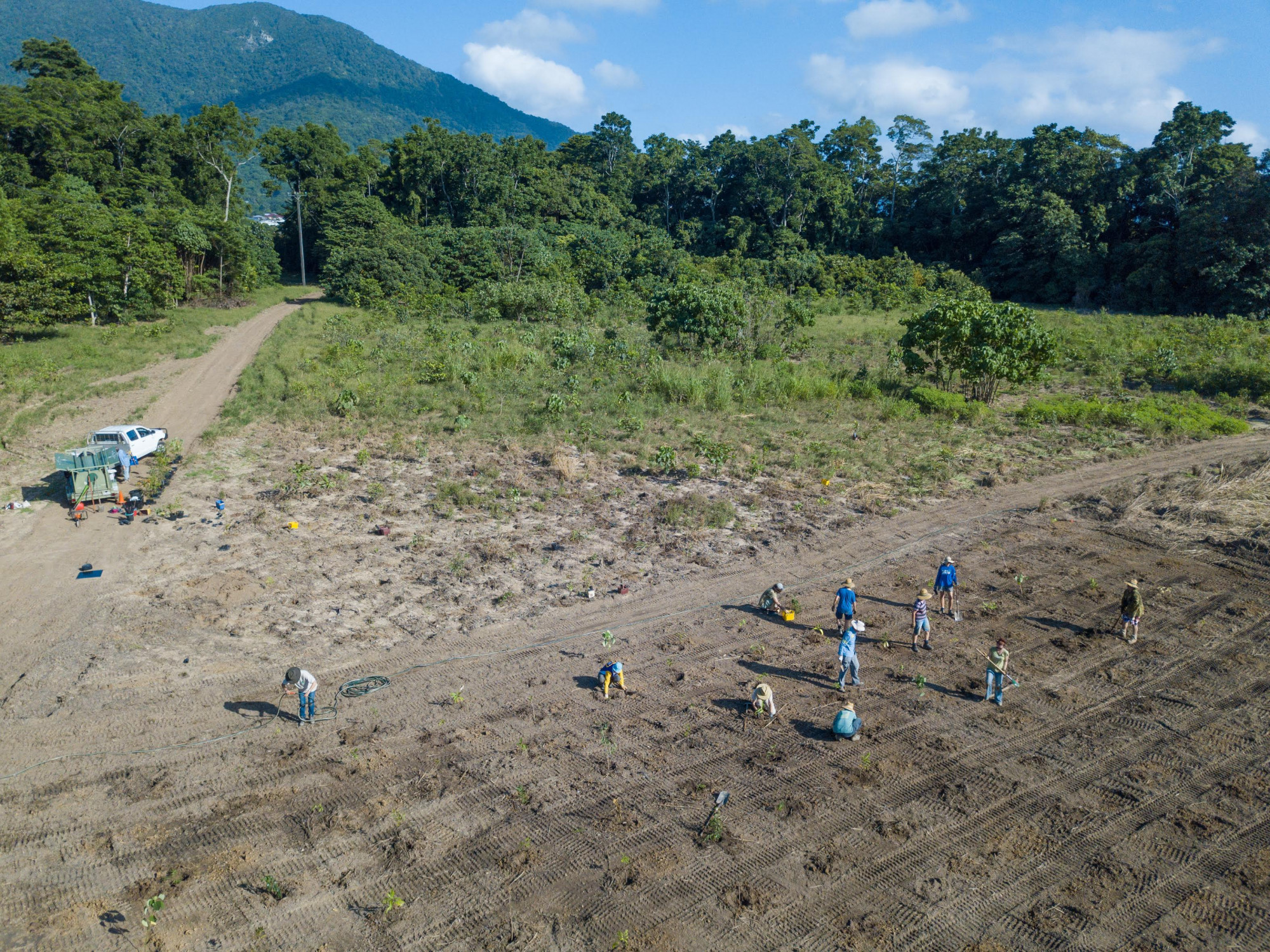 Treeforce volunteers planting trees at Radjirr Radjirr in 2018. Two years on, this Treeforce planting is now a forest, almost as tall as the trees in the middle distance, planted five years ago. Photo: Robert Gesink